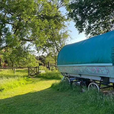 Langtonbury Luxury tent